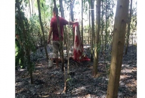 Núi Thành- Dập cháy rừng, phát hiện thi thể người đàn ông 78 tuổi