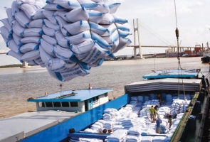 Tạm dừng thông quan xuất khẩu gạo