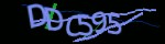 show_captcha