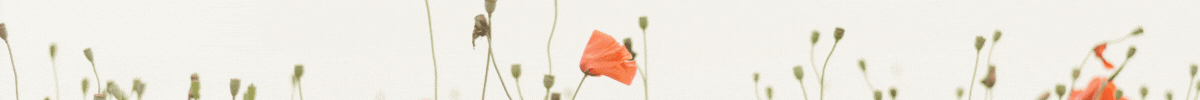 banner-slide