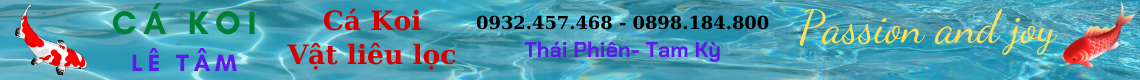 banner-slide