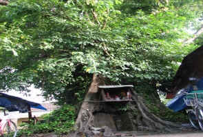 Chùa Cầu và tấm bia bùa