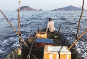 Mùa chạy câu cá ngừ