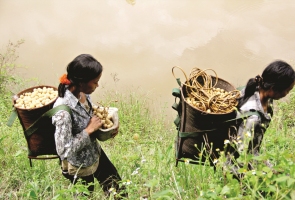 Mùa lòn bon xứ núi