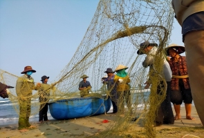 Về bãi ngang kéo rùng