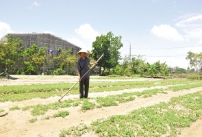ĐIỆN BÀN- Mắc kẹt tại dự án của Công ty TNHH Chí Thành