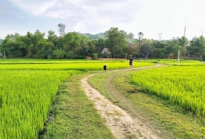 Làng Đo Đo của tôi