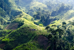 Ký ức mùa duông