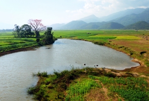 Thật có lỗi với mẹ tôi