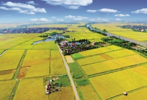 Quảng Nam khai tử 2 dự án hơn 5.400 tỷ đồng