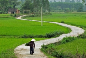 Quảng Nam - Chiều sâu một vùng đất